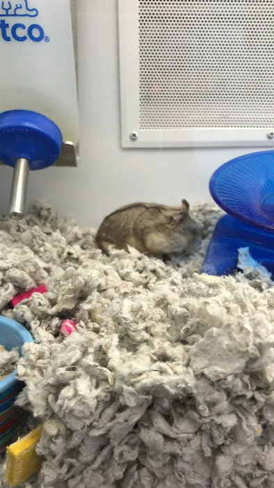 Petco Picture 6