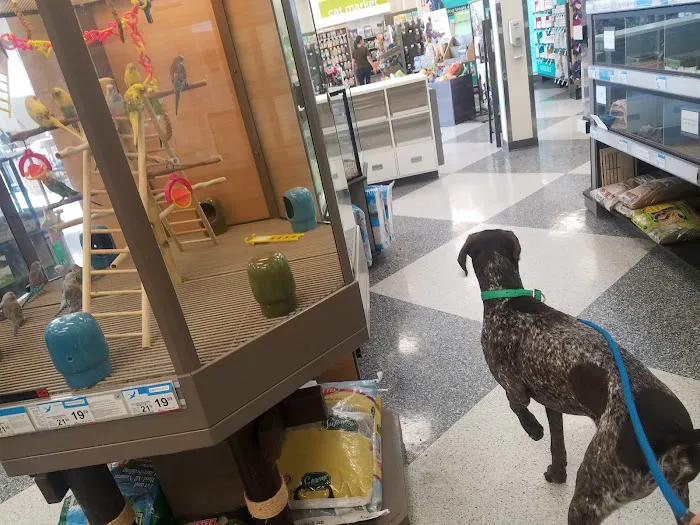 Petco Picture 9