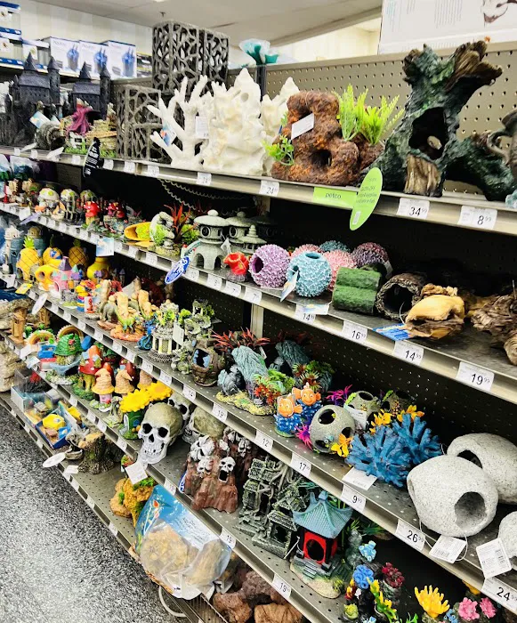 Petco Picture 8