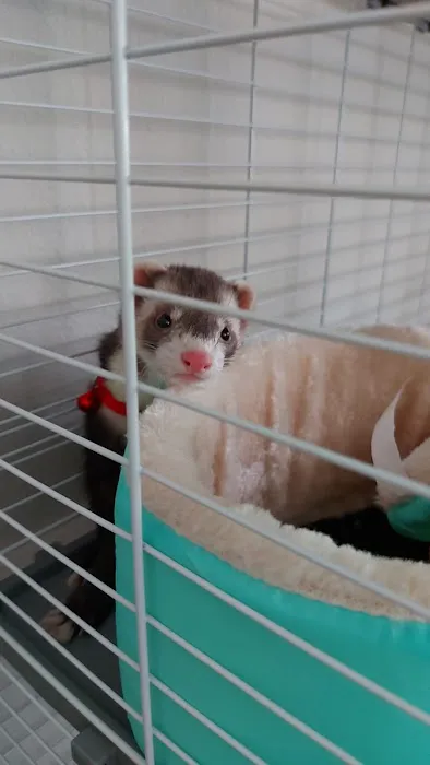 Petco Picture 5