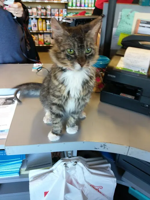 Petco Picture 5