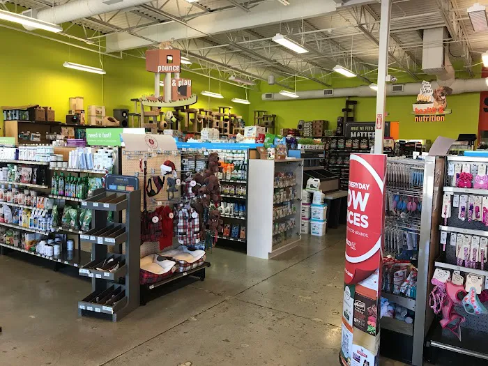 Petco Picture 7