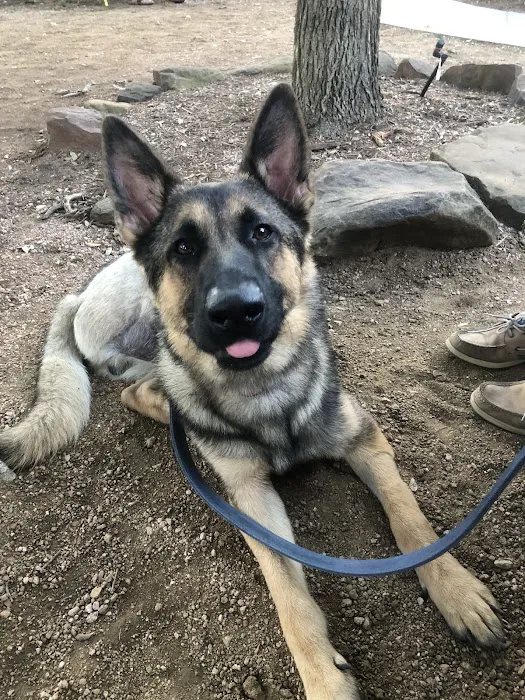 Petco Picture 10