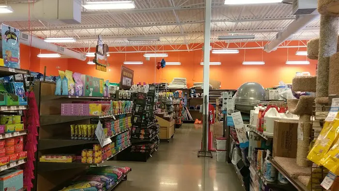 Petco Picture 8