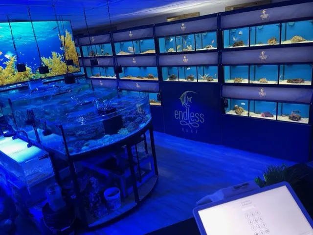 Endless Reef Picture 10