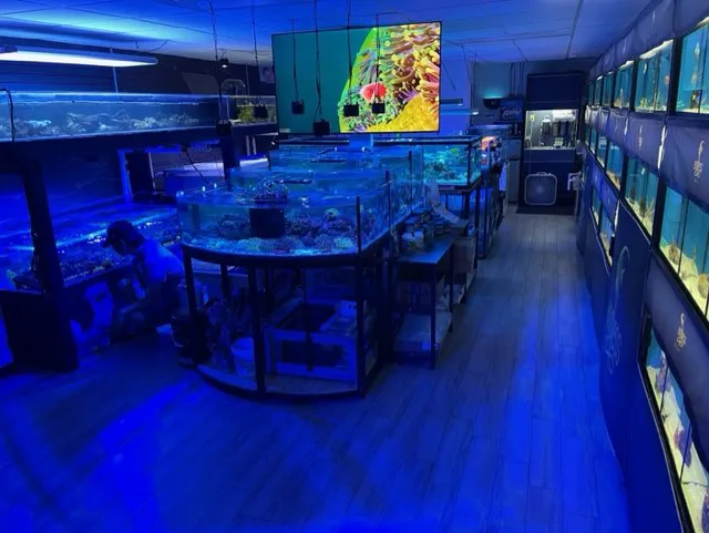 Endless Reef Picture 8