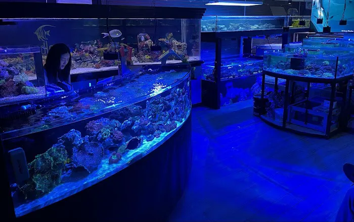 Endless Reef Picture 9