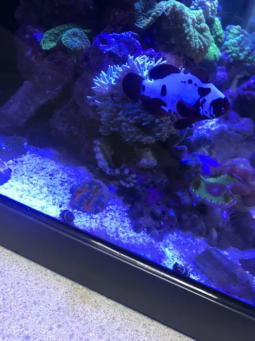 All About Fish Picture 9