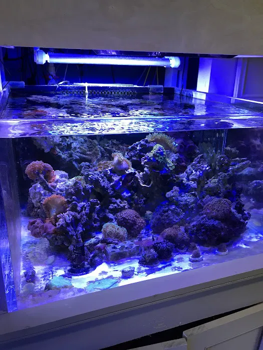 All About Fish Picture 2
