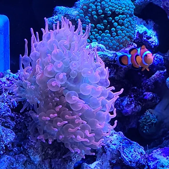 All About Fish Picture 5