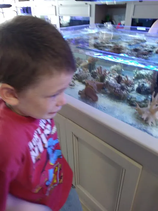 All About Fish Picture 4