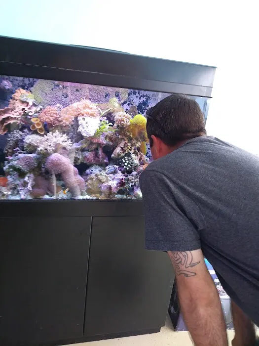 All About Fish Picture 3