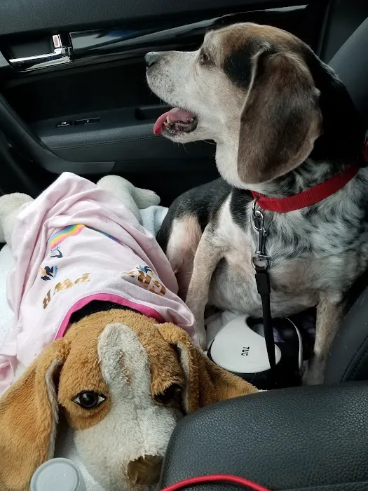 Haven Animal Hospital Picture 9