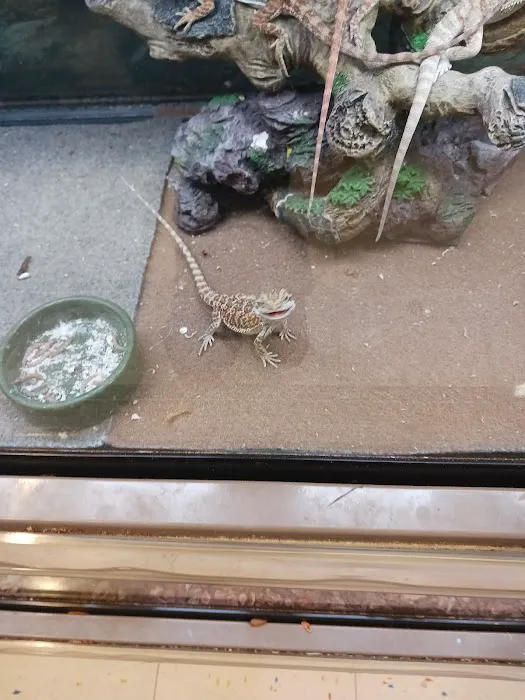 Petco Picture 9