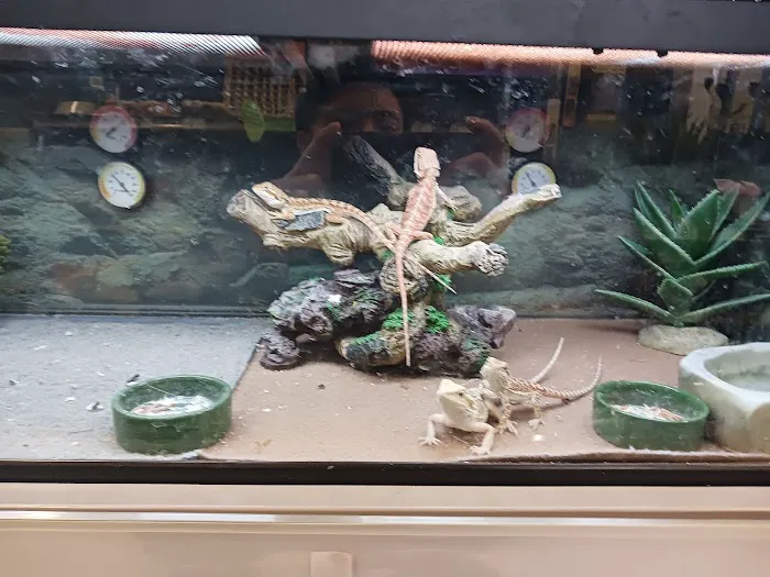 Petco Picture 6