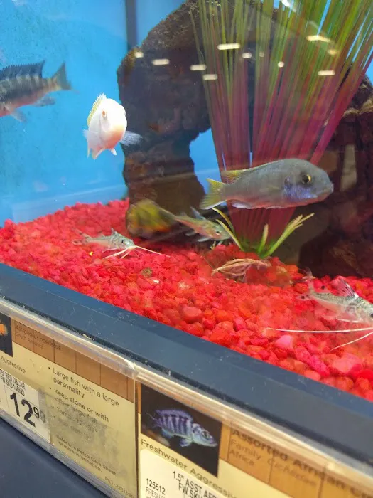 Petco Picture 5