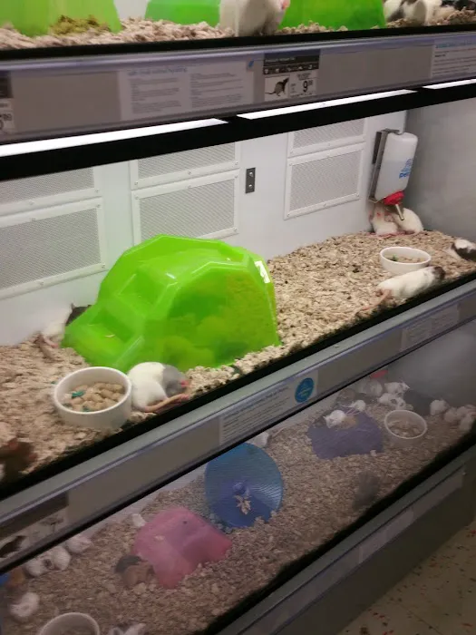 Petco Picture 2