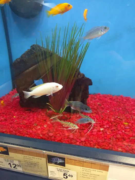 Petco Picture 3