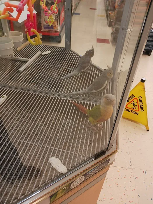 Petco Picture 7