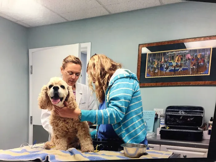 Homestead Animal Hospital Picture 2