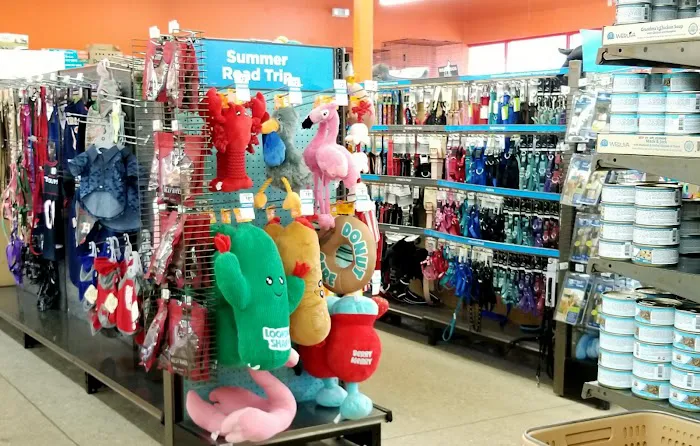 Petco Picture 2