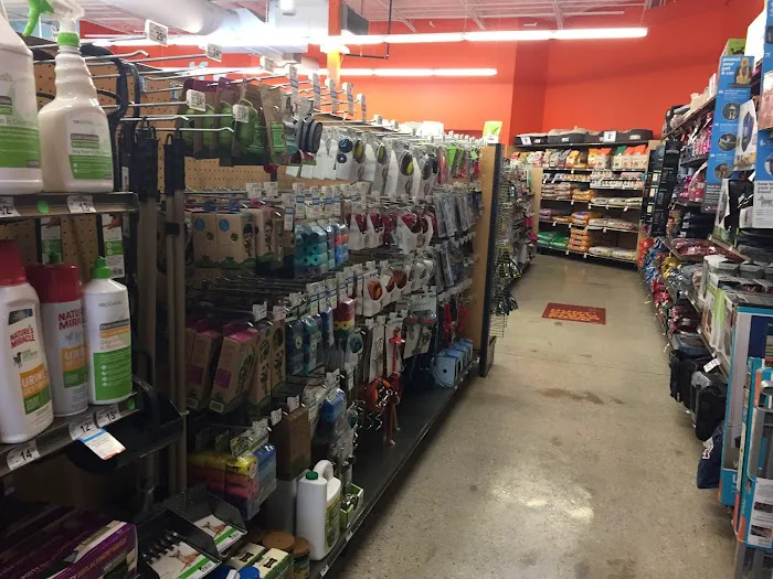Petco Picture 5