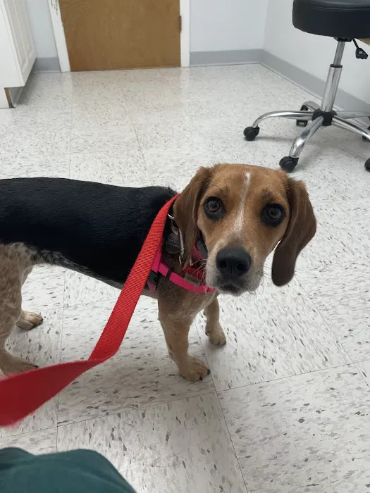 Pieper Veterinary Picture 5