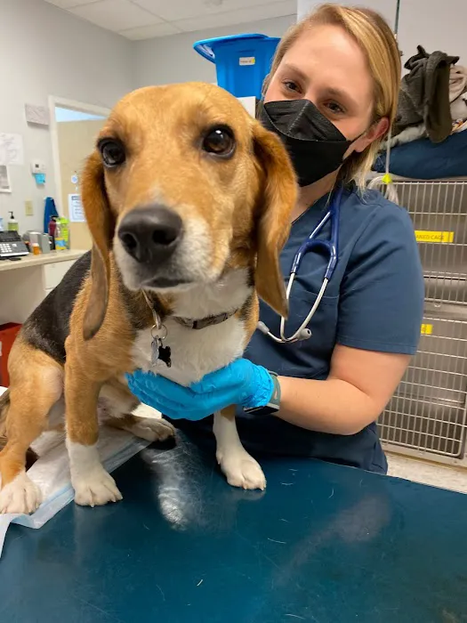 Pieper Veterinary Picture 10