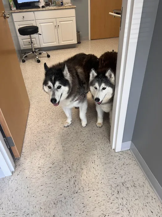 Pieper Veterinary Picture 7