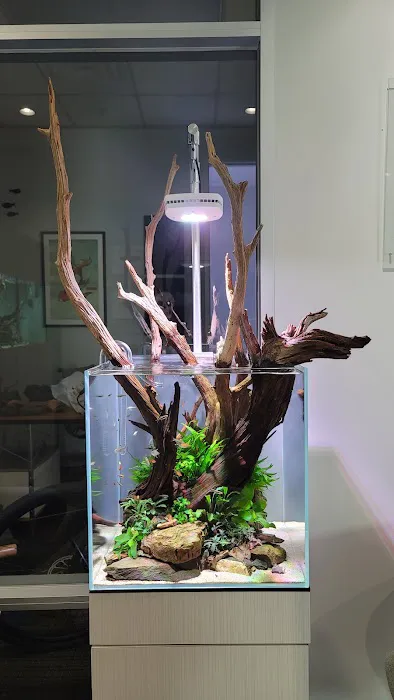 Aquarium Design Group Picture 3
