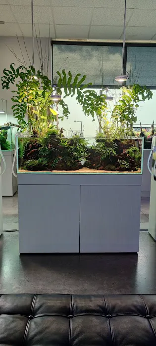 Aquarium Design Group Picture 2