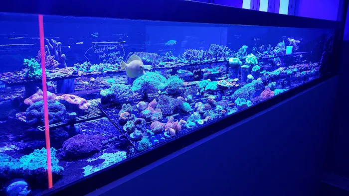 Aquarium Design Group Picture 5