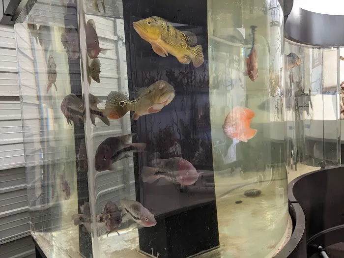 Aquarium Design Group Picture 9