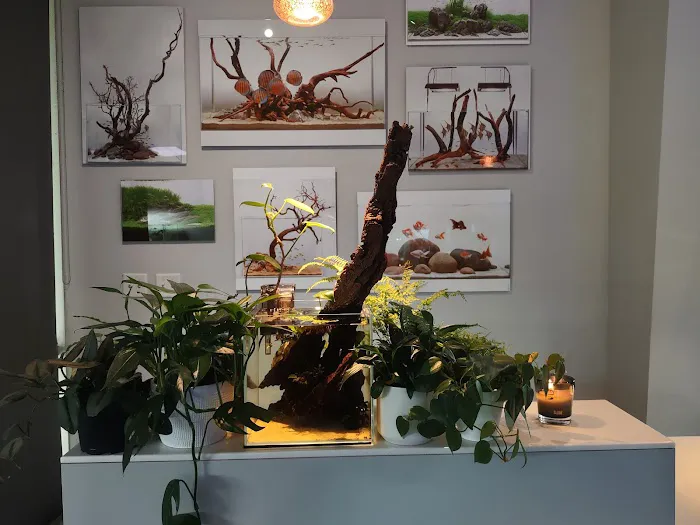 Aquarium Design Group Picture 4