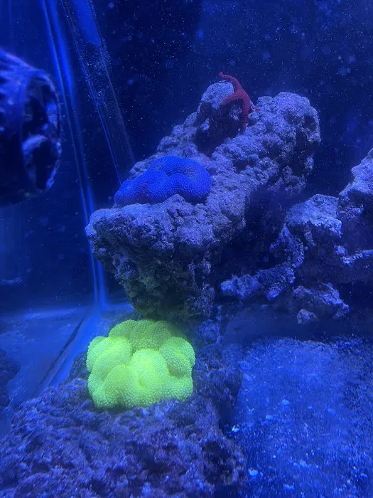 The Aquatic Life Picture 1