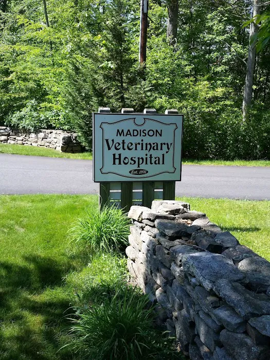 Madison Veterinary Hospital Picture 7