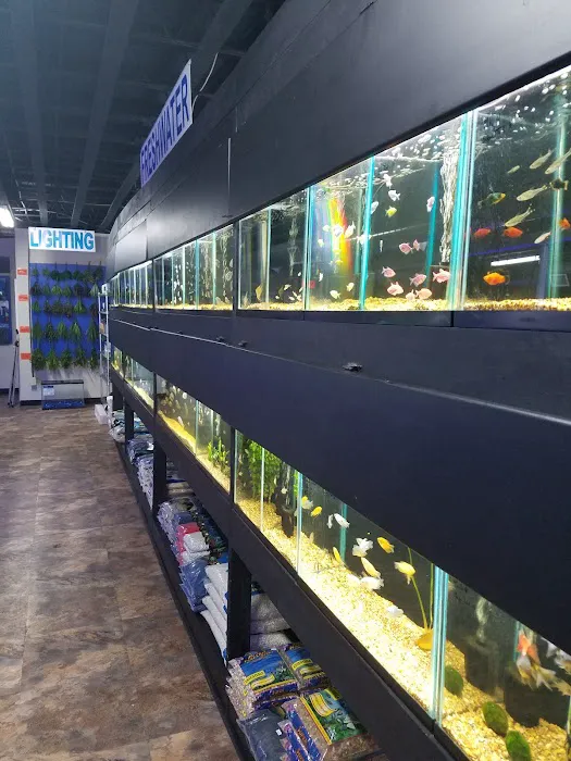 The Fish Bowl and More Picture 4
