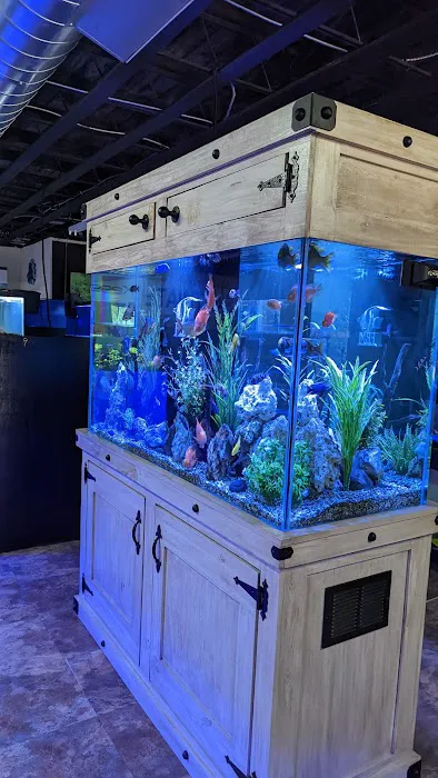 The Fish Bowl and More Picture 1