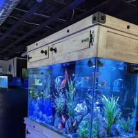 The Fish Bowl and More ico
