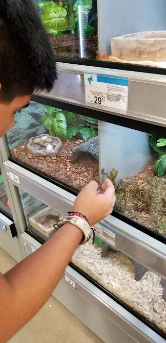 Petco Picture 4