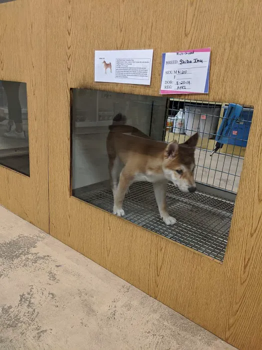 Pet Place Picture 3