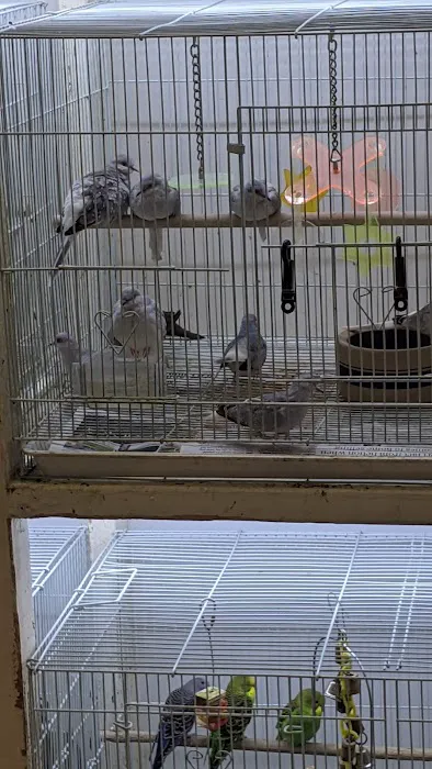 Pet Place Picture 1