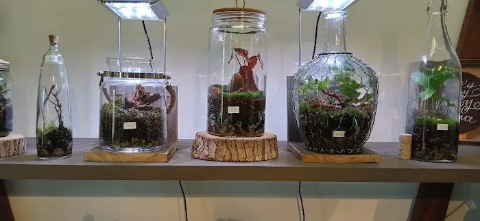 Pet Place Picture 7