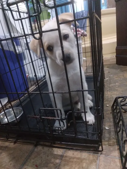 Amazing Paws Pet Store Picture 2
