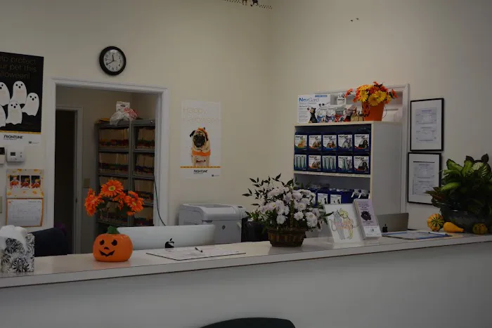 Dayton Animal Clinic, LLC Picture 1