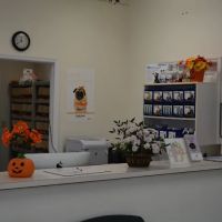 Dayton Animal Clinic, LLC ico