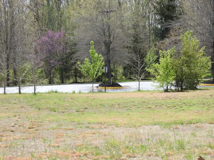 VCA Chancellor Animal Hospital Picture 6