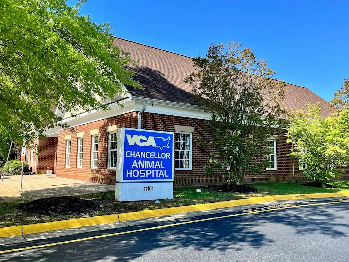 VCA Chancellor Animal Hospital Picture 10
