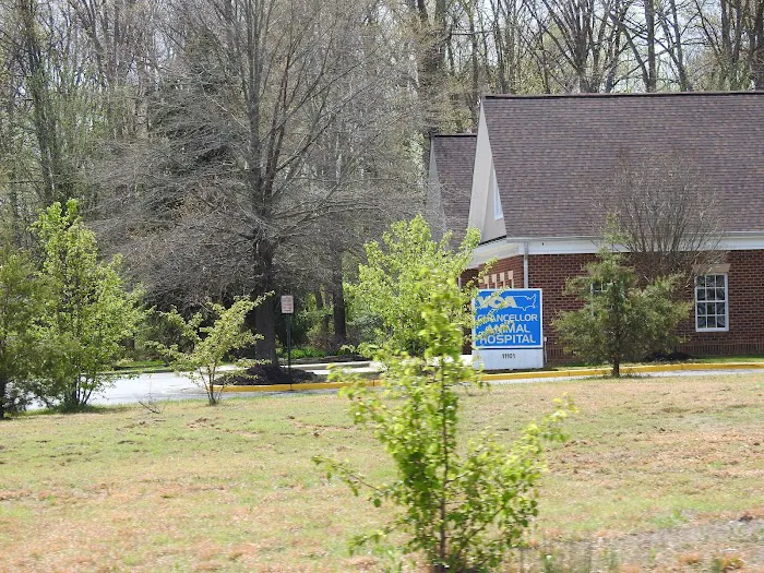 VCA Chancellor Animal Hospital Picture 7