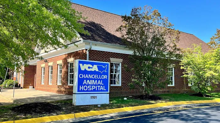 VCA Chancellor Animal Hospital Picture 1
